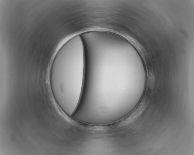 X0000112810862200908210937
