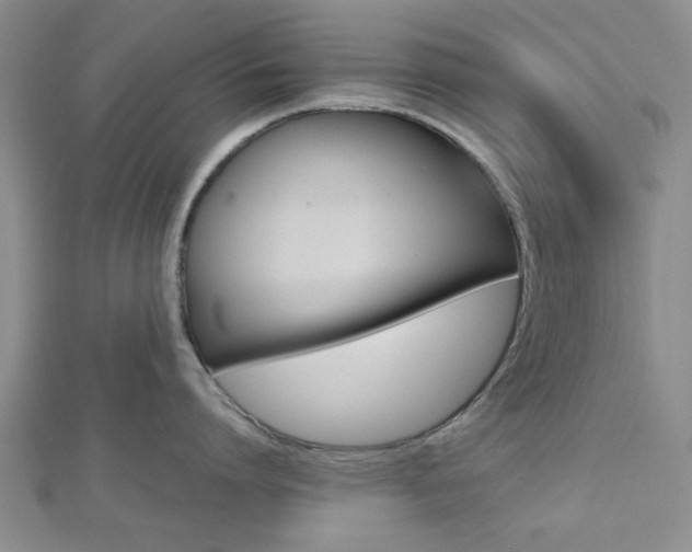 X0000112810864200908210937