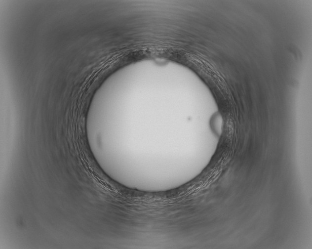 X0000112810865200908210936