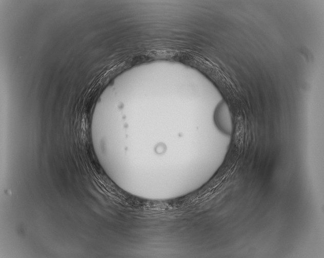 X0000112810866200908210936