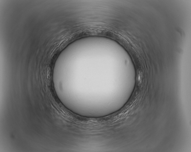 X0000112810867200908210936