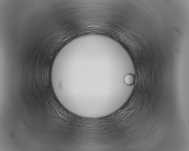 X0000112810868200908210936