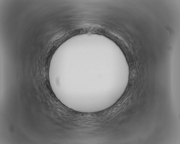 X0000112810869200908210936