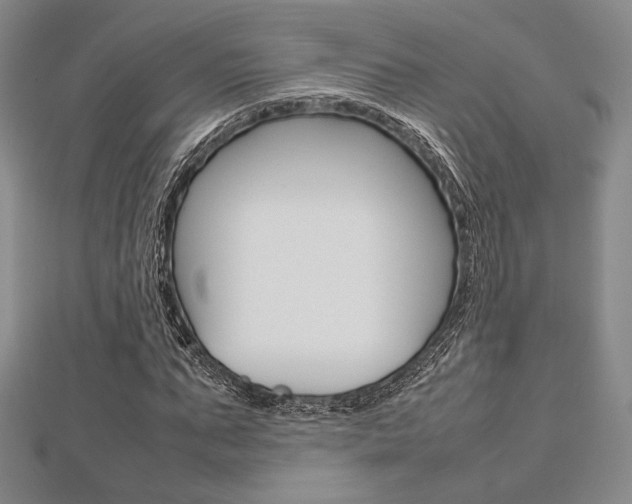 X0000112810871200908210936