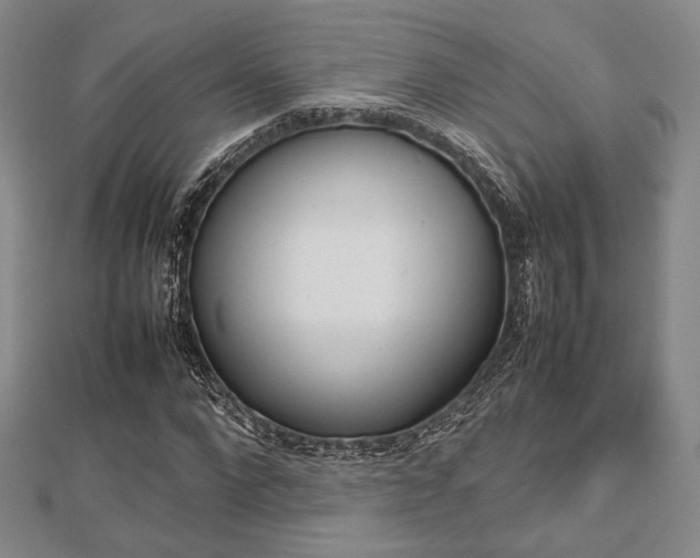 X0000112810872200908210936