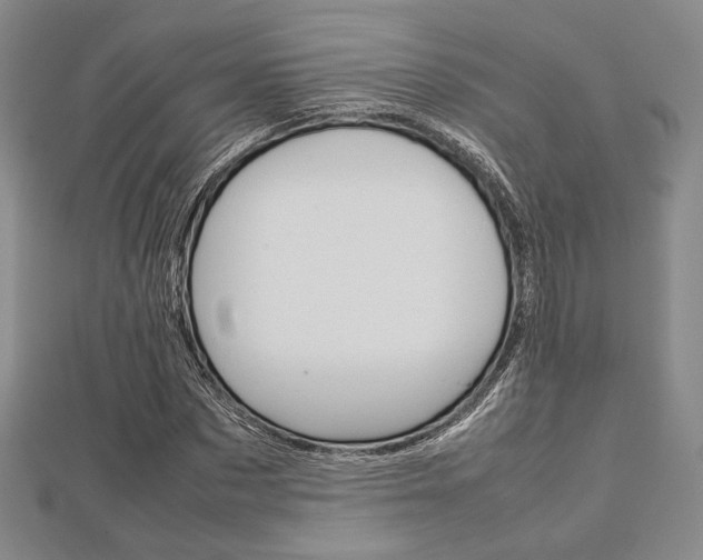 X0000112810873200908210936