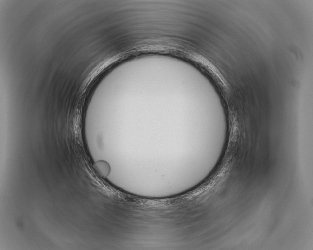 X0000112810874200908210936
