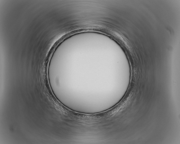 X0000112810875200908210936