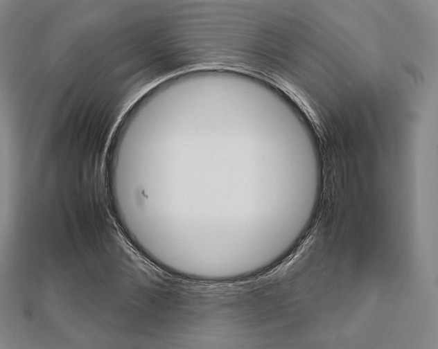 X0000112810876200908210936