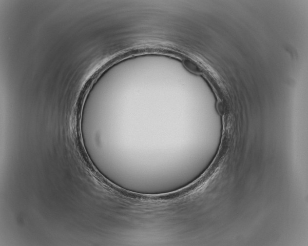 X0000112810877200908210936
