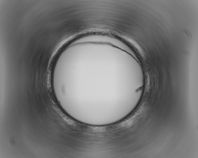 X0000112810878200908210936