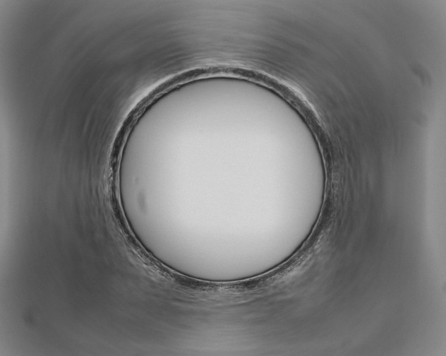 X0000112810879200908210936