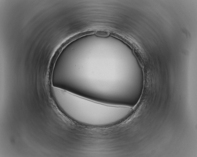 X0000112810880200908210936