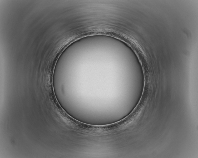 X0000112810881200908210936