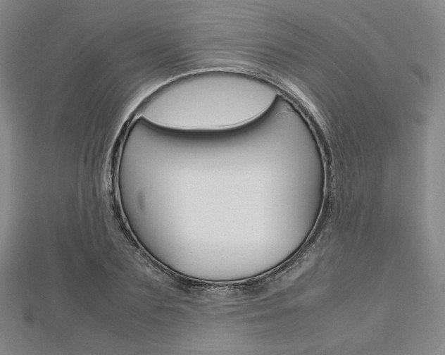 X0000112810883200908210936