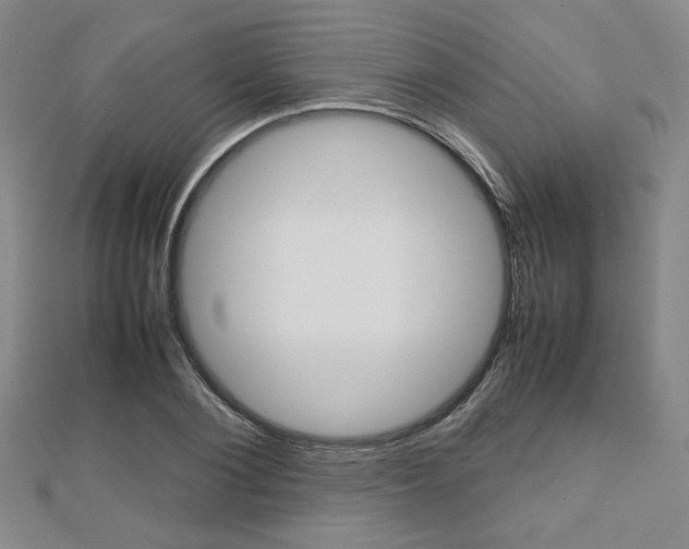 X0000112810884200908210936