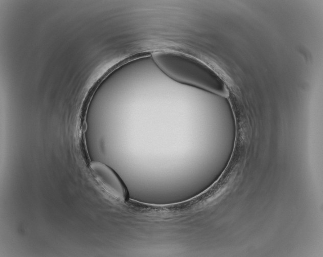 X0000112810885200908210936