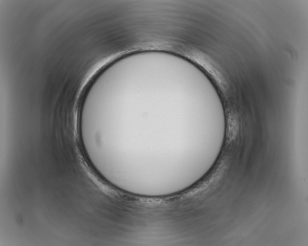 X0000112810886200908210936