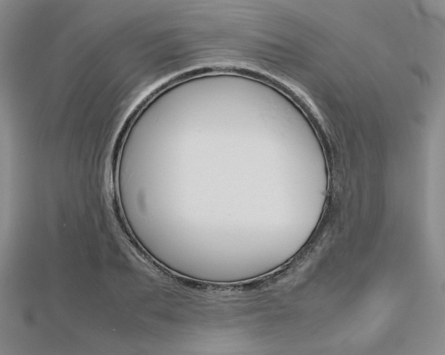 X0000112810887200908210936