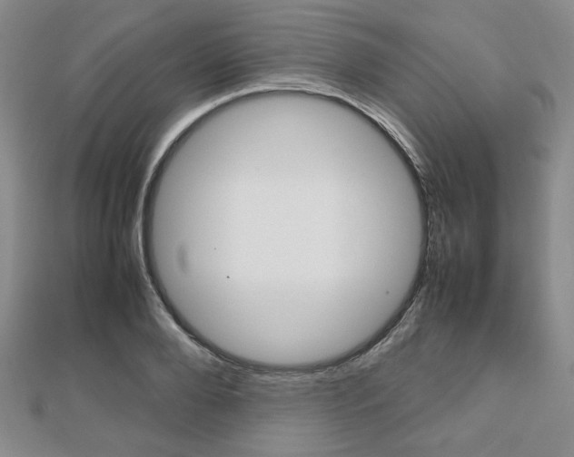 X0000112810888200908210936