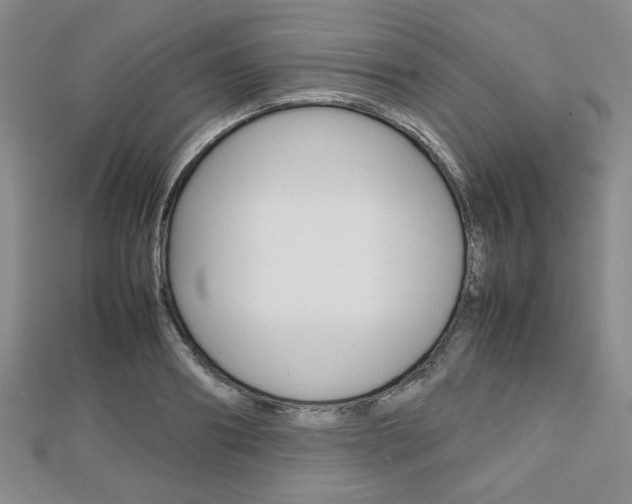 X0000112810890200908210936