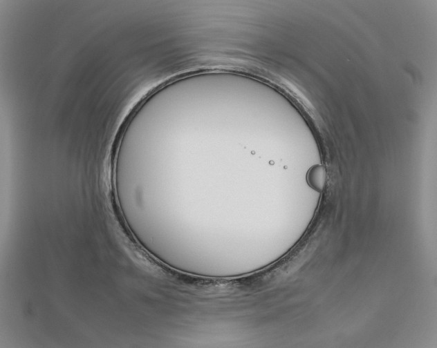 X0000112810891200908210936