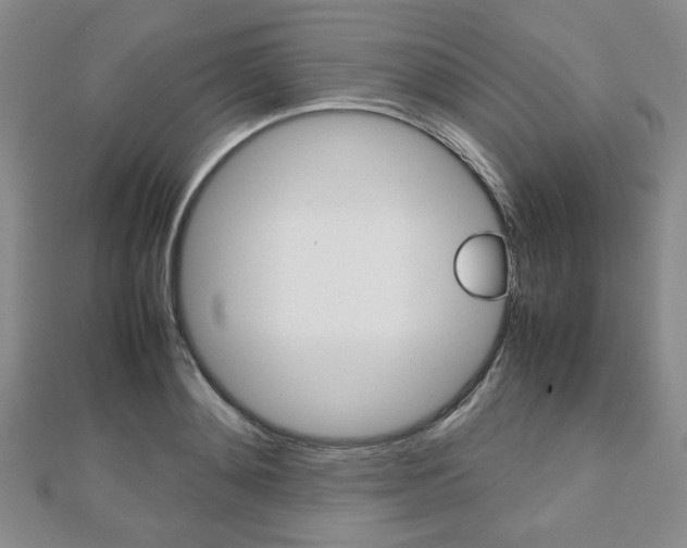 X0000112810892200908210935