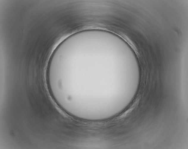 X0000112810893200908210935