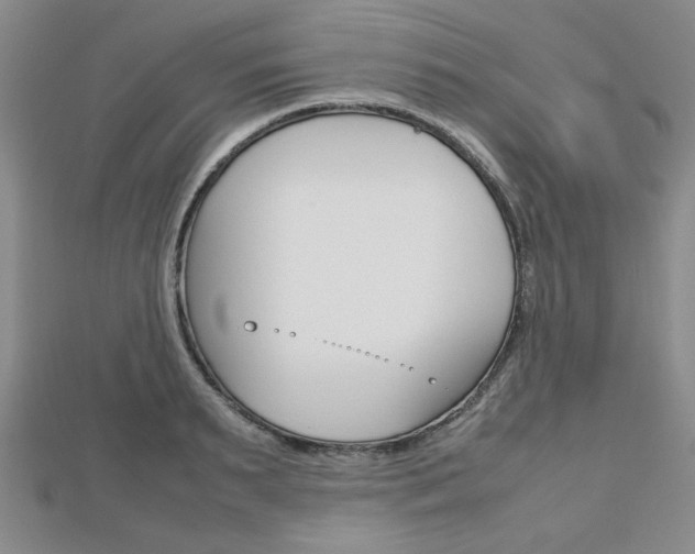 X0000112810895200908210935