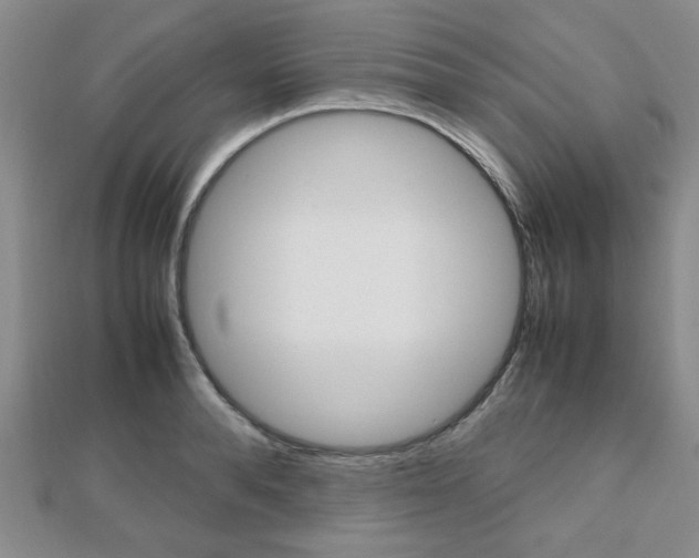 X0000112810896200908210935