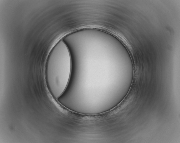 X0000112810898200908210935