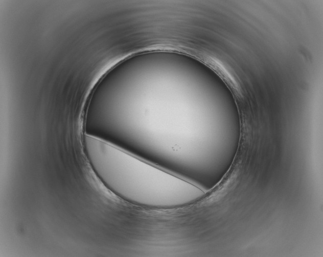 X0000112810900200908210935