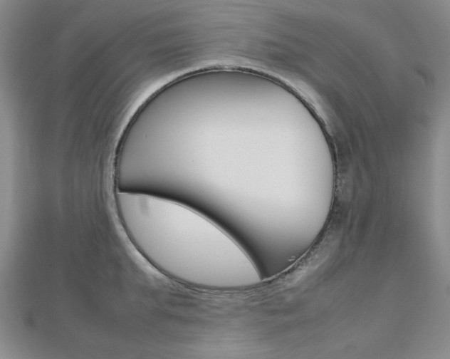 X0000112810903200908210935