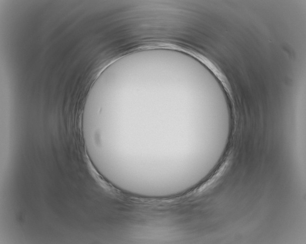 X0000112810905200908210935