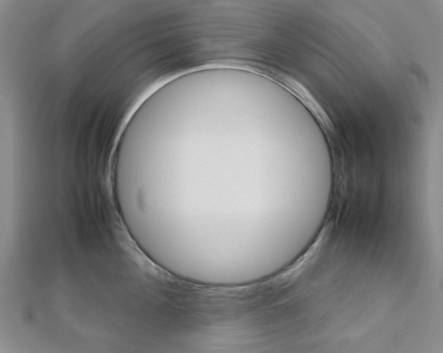X0000112810908200908210935