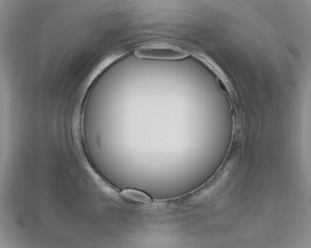 X0000112810909200908210935
