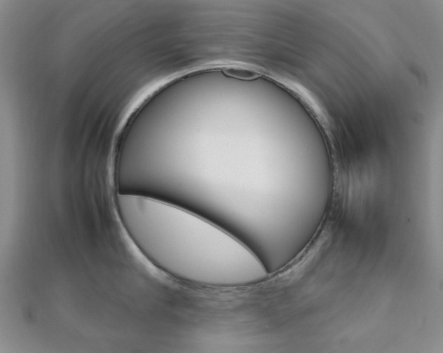 X0000112810910200908210935