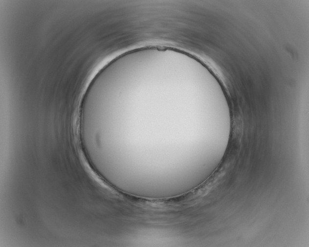 X0000112810911200908210935