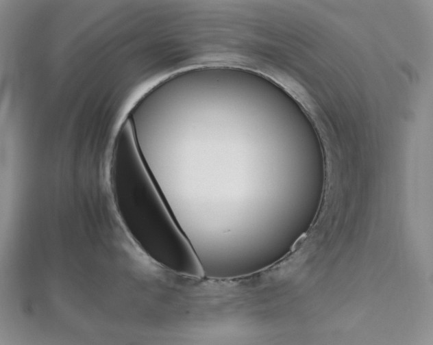 X0000112810912200908210935