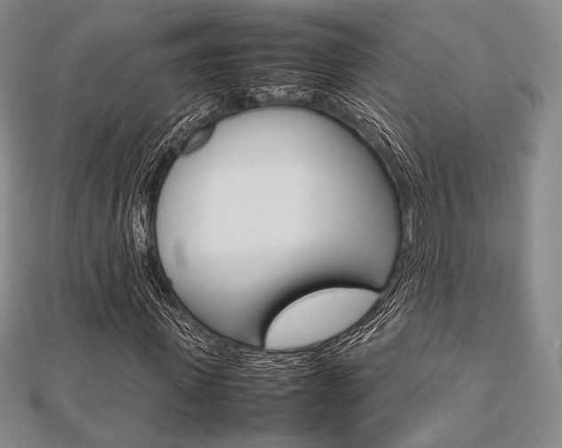 X0000112810915200908210934