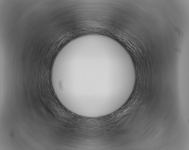 X0000112810916200908210934