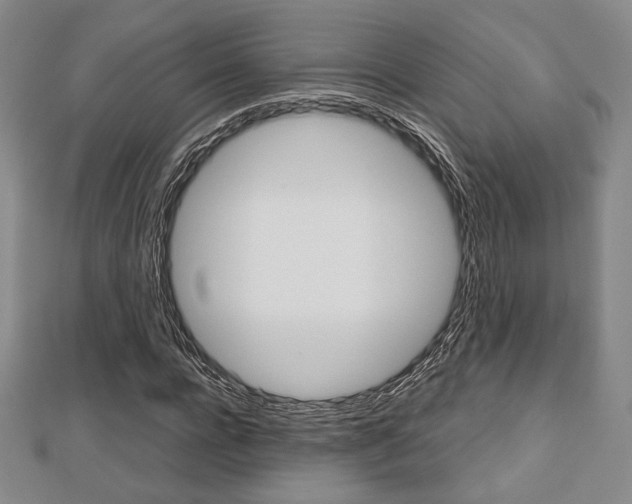 X0000112810920200908210935