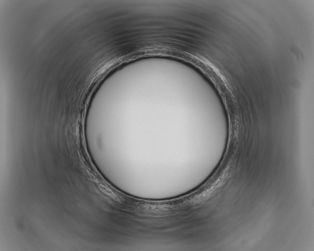 X0000112810921200908210935