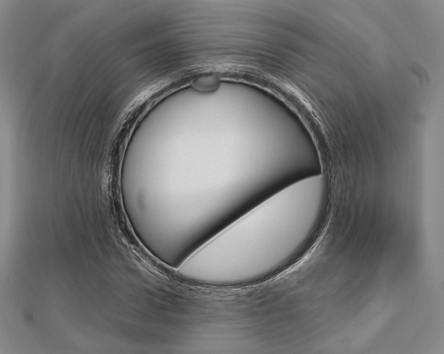 X0000112810922200908210935