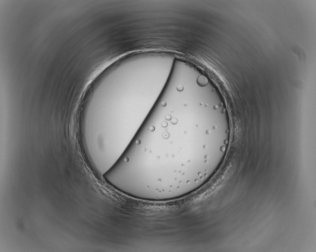 X0000112810925200908210935