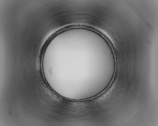 X0000112810927200908210935