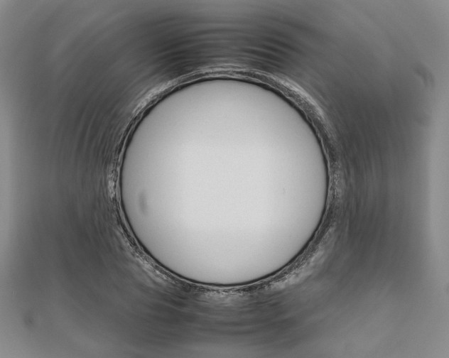 X0000112810929200908210935