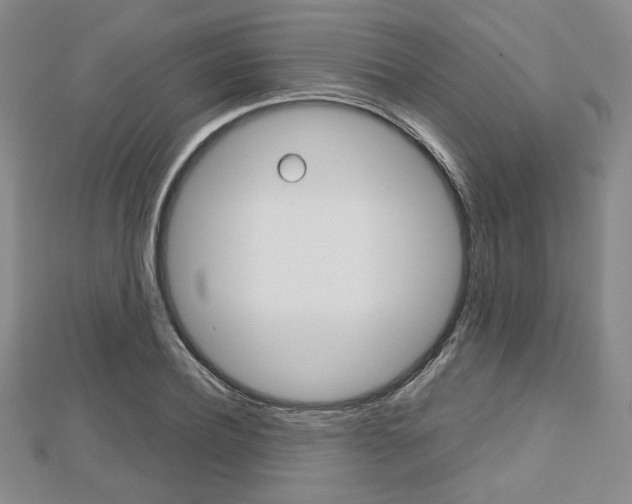X0000112810932200908210935