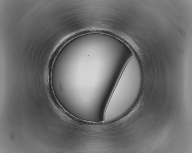 X0000112810934200908210935