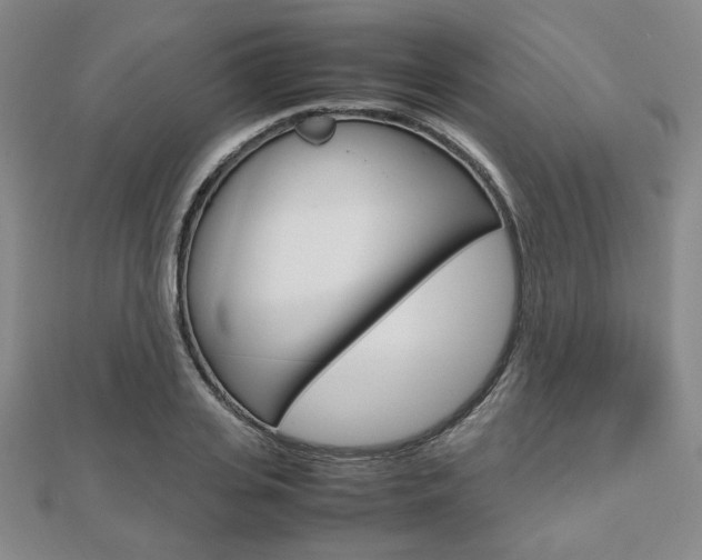X0000112810935200908210935